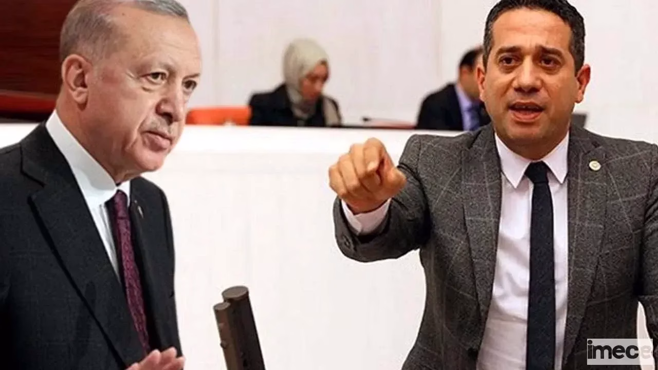 ali mahir basarir cumhurbaskani erdoganin diplomasini sordu goren var mi 2.webp