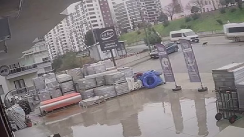Şoka Geçiren Vahşet! Sokak Köpeğine Çarpan Sürücü Yoluna Devam Etti
