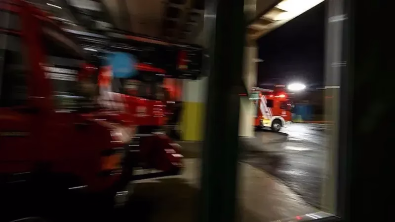 Trabzon’da Alevler Yükseldi: Kedi ve Kadın Ölümden Döndü!