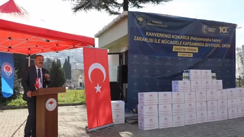 kahverengi bocek.webp