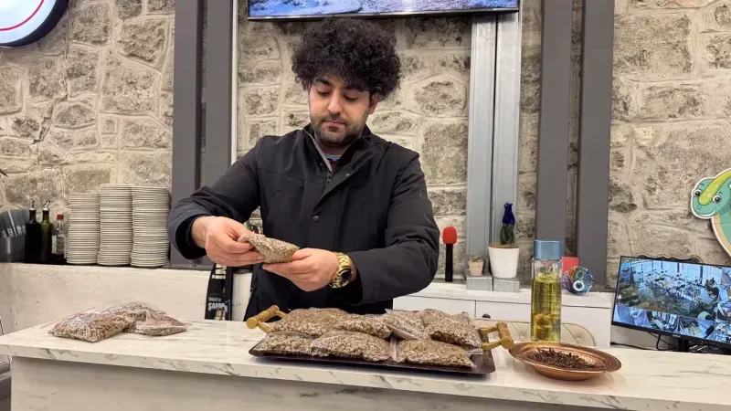 sokak kedileri4.webp