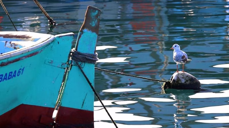Trabzon’un Gizli Mücevheri: Faroz’un Tarihi ve Kültürel Zenginlikleri