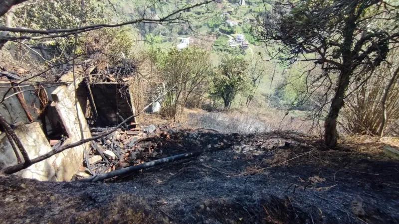 trabzonda ortu yangininda 4 donum alan 634764 1743728005.jpg