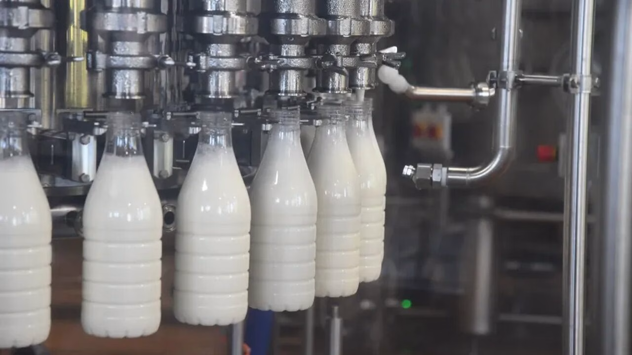 Süt Denizinde Battı Balık! Dev Marka İflasın Kıyısında!