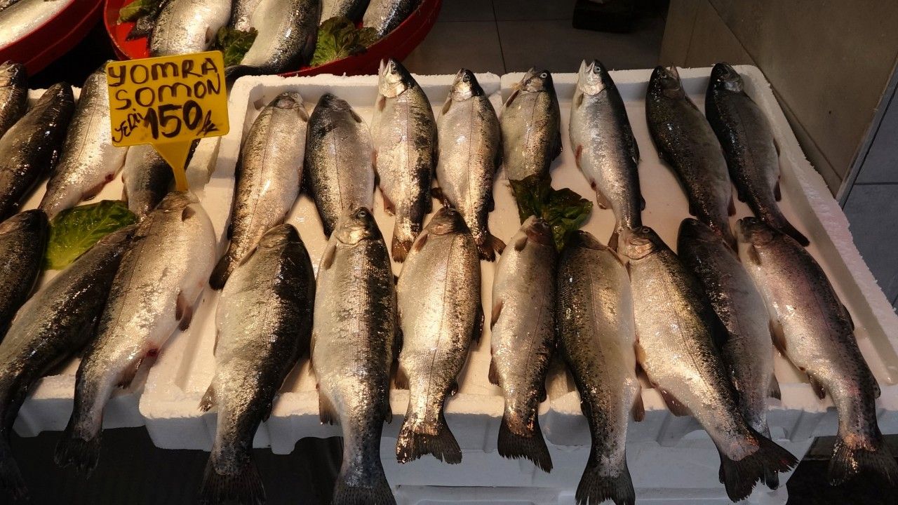 av yasagina sayili gunler kala balik tezgahlarinda cesit bollugu.jpg