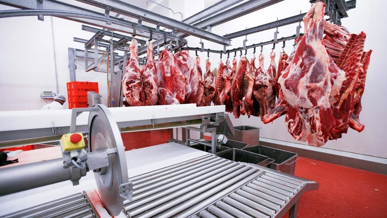 Dana ve kuzu kesim fiyatları piyasası karıştı! Biri sabit tuttu diğeri düşürdü