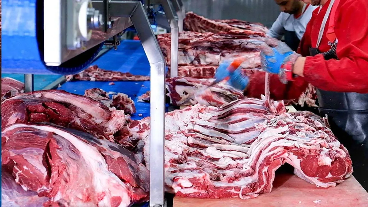 Ette Şok Düşüş! UKON Fiyatları Açıkladı, Sektör Dondu!