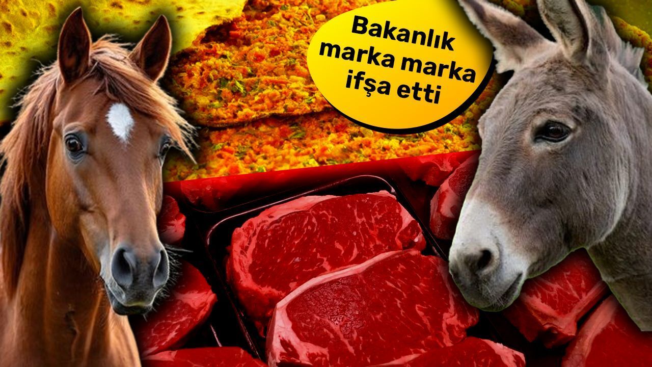 Sofralarınız Tehlikede: At Eti Lahmacunda, Eşek Eti Kavurmada!