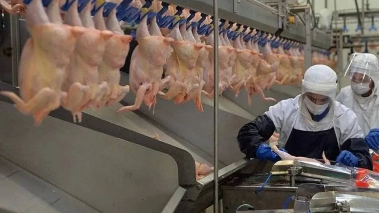 listeria bakterisi tespiti senpilicten aciklama geldi urunler toplatiliyor.webp