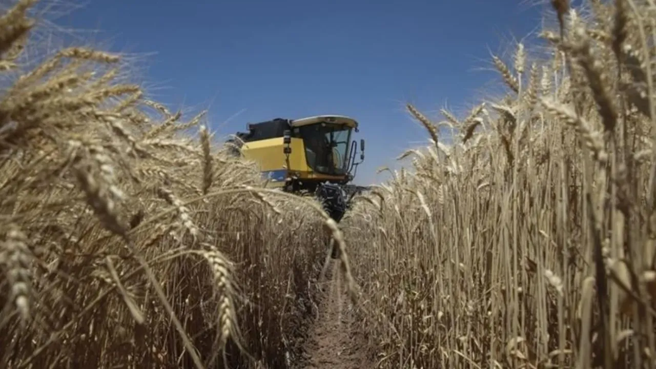 tarim girdi fiyatlari subat 2025te yukseldi veteriner masraflari rekor kirdi.webp