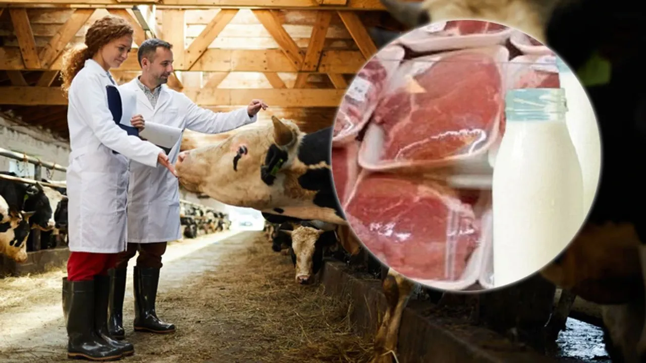 Gıda Kıyameti mi Geliyor? Et ve Süt Uçuşta, Şeker Çakıldı!