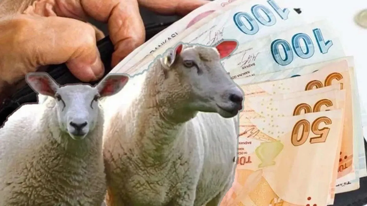 Kurban Bayramı öncesi emekli maaşı yatacak mı? 4A, 4B, 4C emeklileri için kritik açıklama