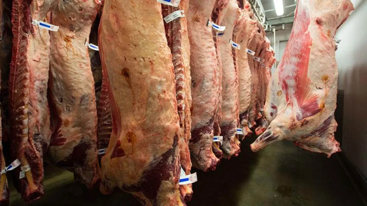 Et Piyasasında Şok Düşüş! Kuzu Fiyatları Çakıldı!