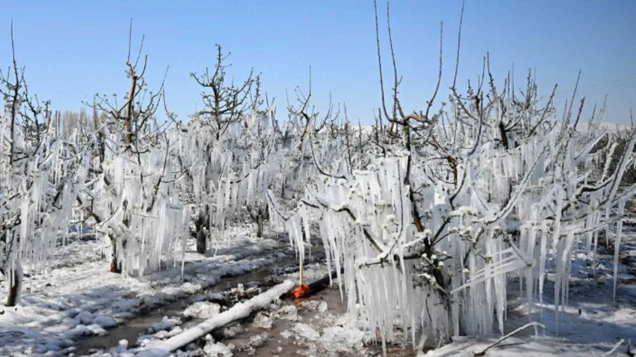 Don Vurdu, Fırsatçılar Vurguna Koştu! Gıda Fiyatları Çıldırdı!