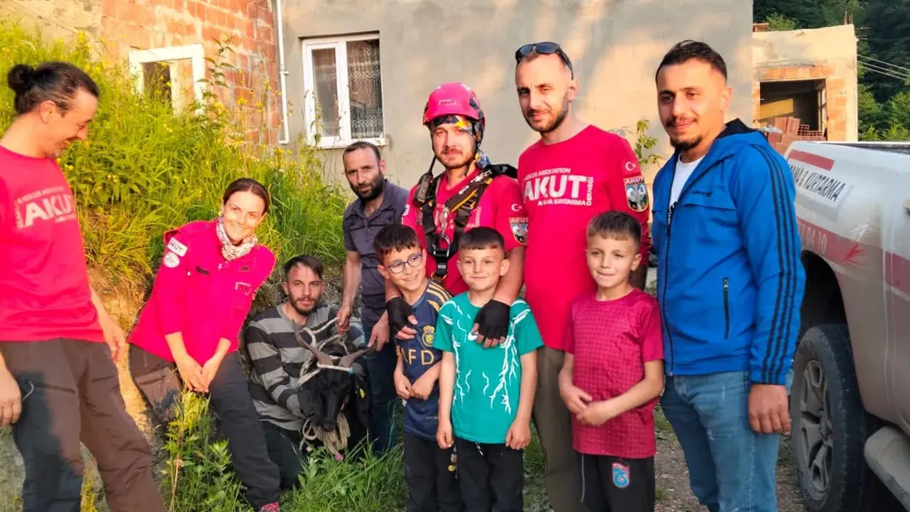 k e c i i n a d i s a n s l i y i h a y a t t a t u t t u k u r 757524 223520.webp