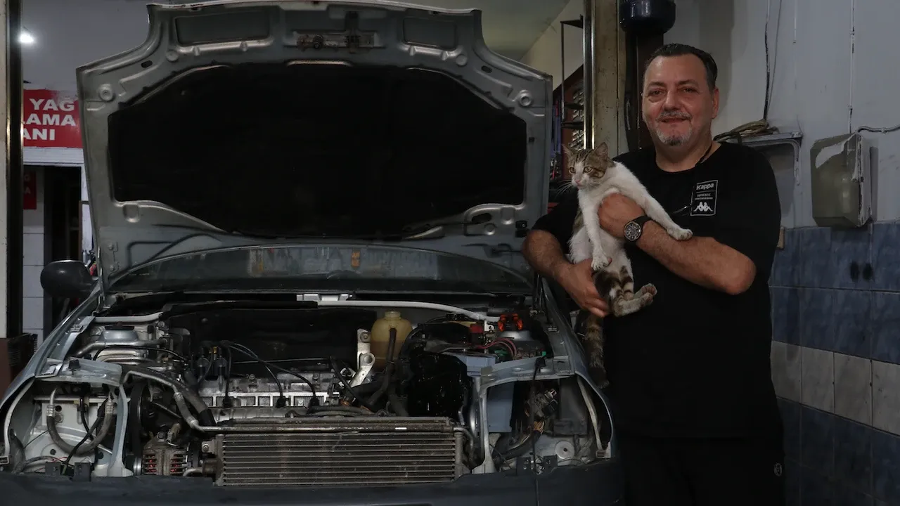 ekran resmi 2025 07 07 110133png.webp