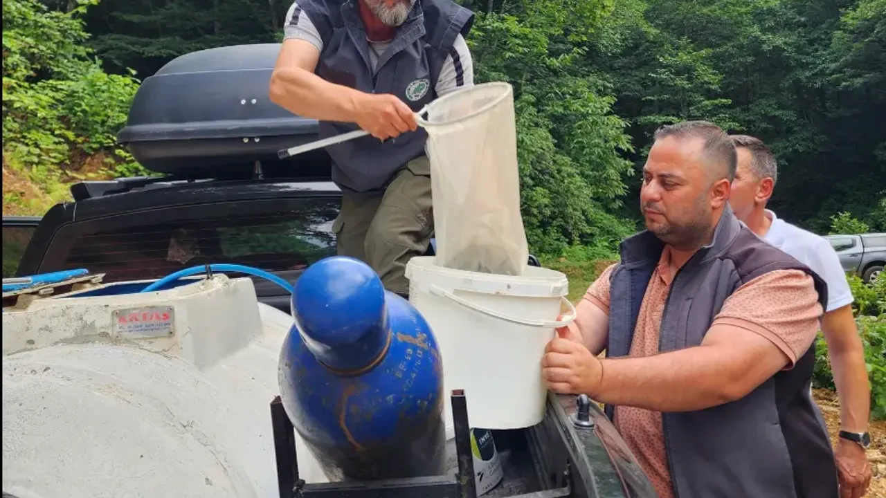 DERNEKPAZARI’NDA ŞOK OPERASYON! 10 BİN ALABALIK FİRARDA!