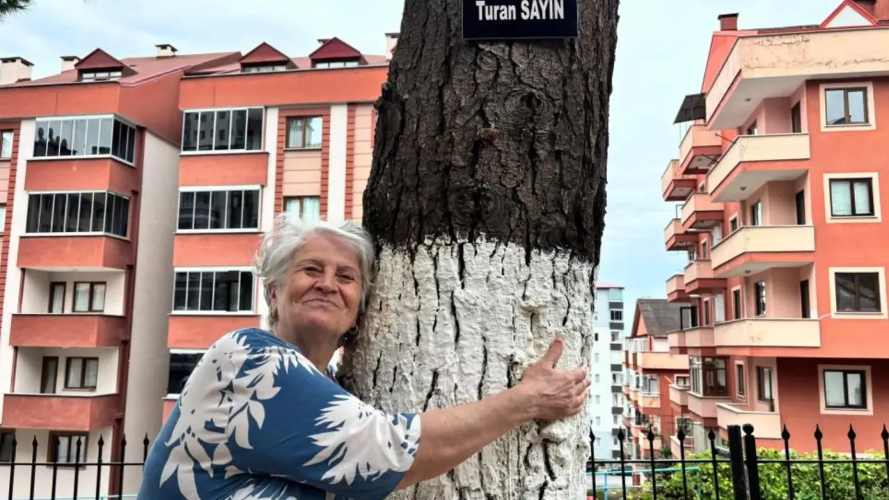 ekran resmi 2025 08 26 095340png.webp