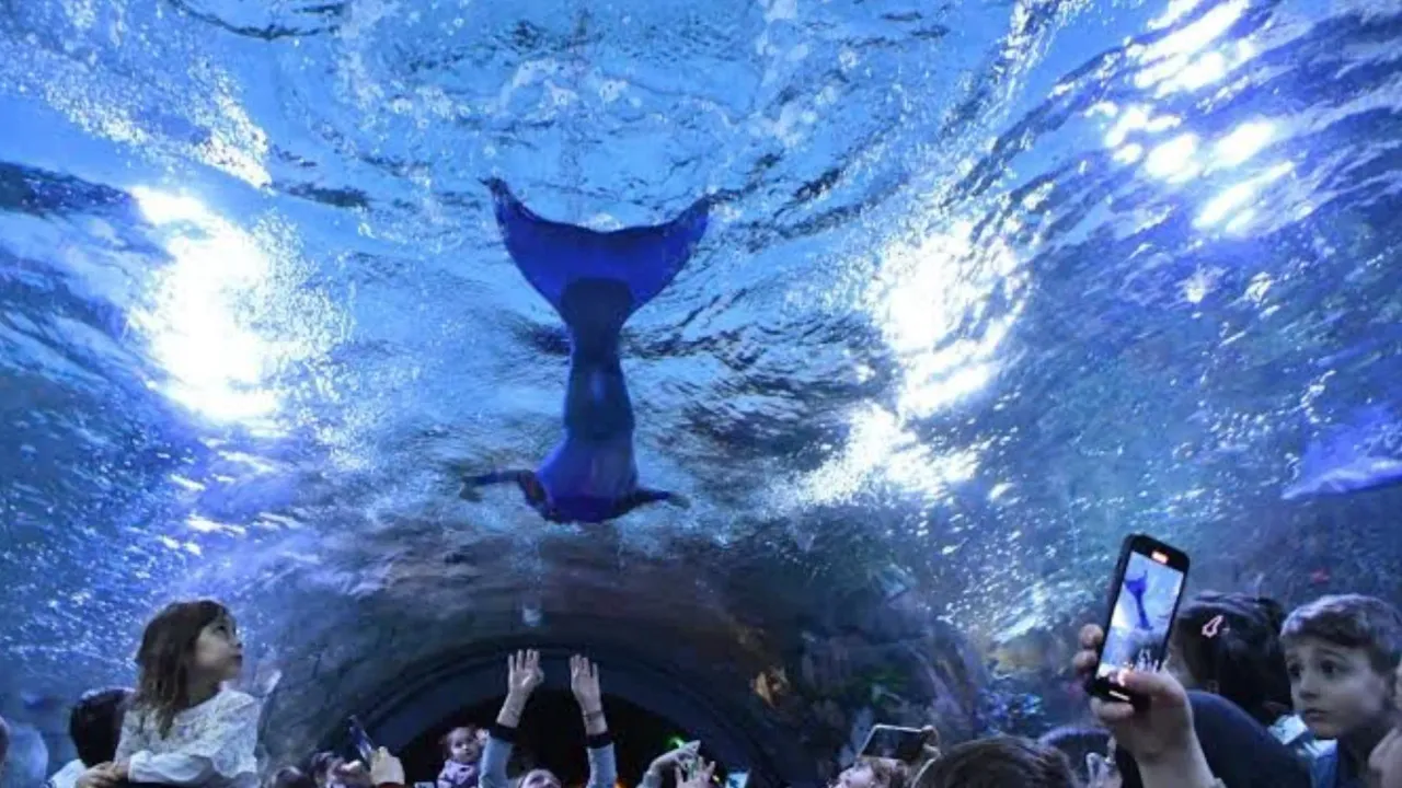 ekran resmi 2025 08 26 123027png.webp