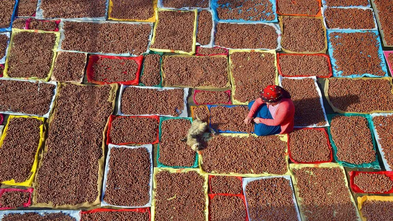 f i n d i k h a s a d i n d a g i z l i t e h l i k e t o z a l e r 878911 259941jpg.webp