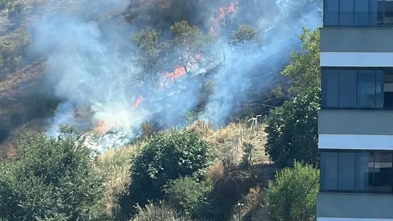 Akçaabat Alevlere Teslim! Orman Yangını Panik Yarattı!