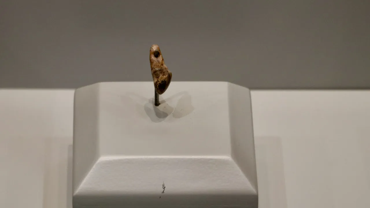 Trabzon’da Şok Keşif! 14 Bin Yıllık Gizemli Kolye Ucu Bulundu