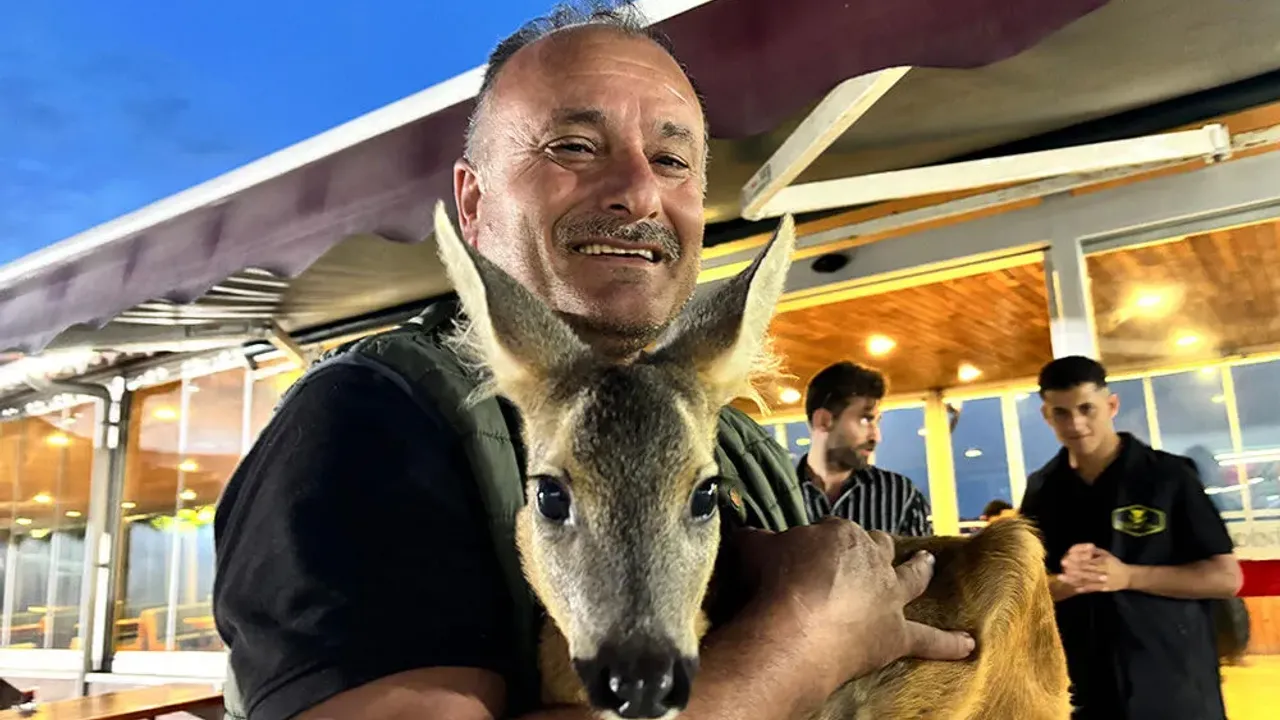 a w544525 01jpg.webp