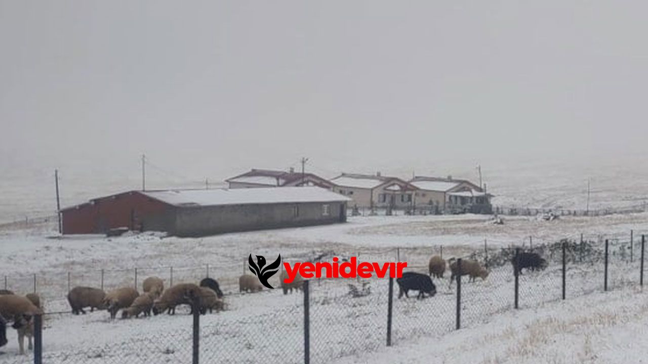 Karadeniz ŞOKTA! Eylül’de Yaylalar Buz Kesti, Her Yer Bembeyaz!