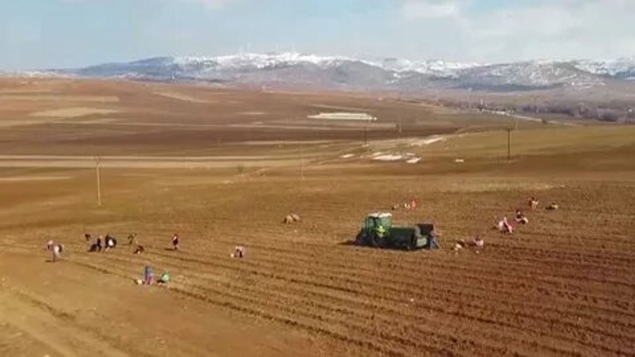 Tarımda yeni dönem: Atıl araziler kiraya verilecek ve üretime açılacak