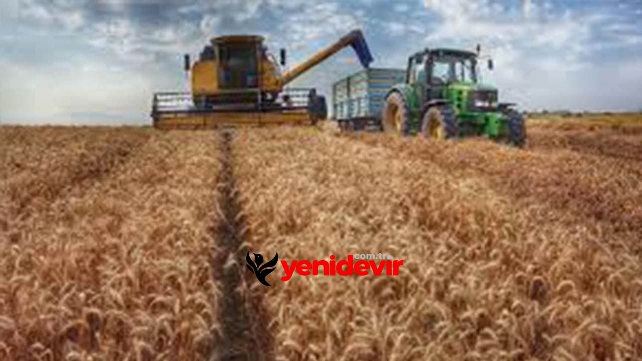 bugday arpa ve misir fiyatlari sasirtti t m onun indirimi ise yaramadi.jpg