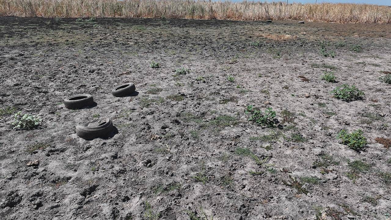 Kuraklığa Karşı 8 Milyon Dolarlık Dev Hamle