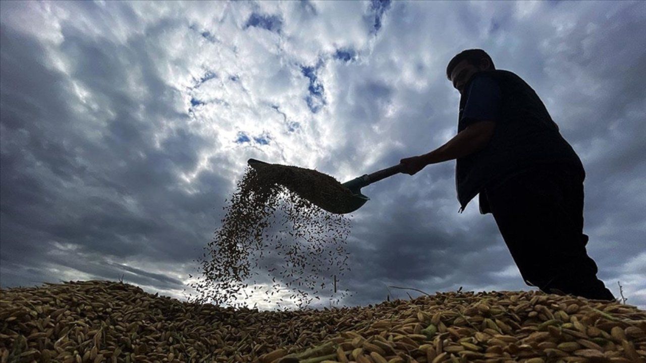 Çiftçilere 1 milyar 46 milyon lira tarımsal destekleme ödemesi bugün yapılacak