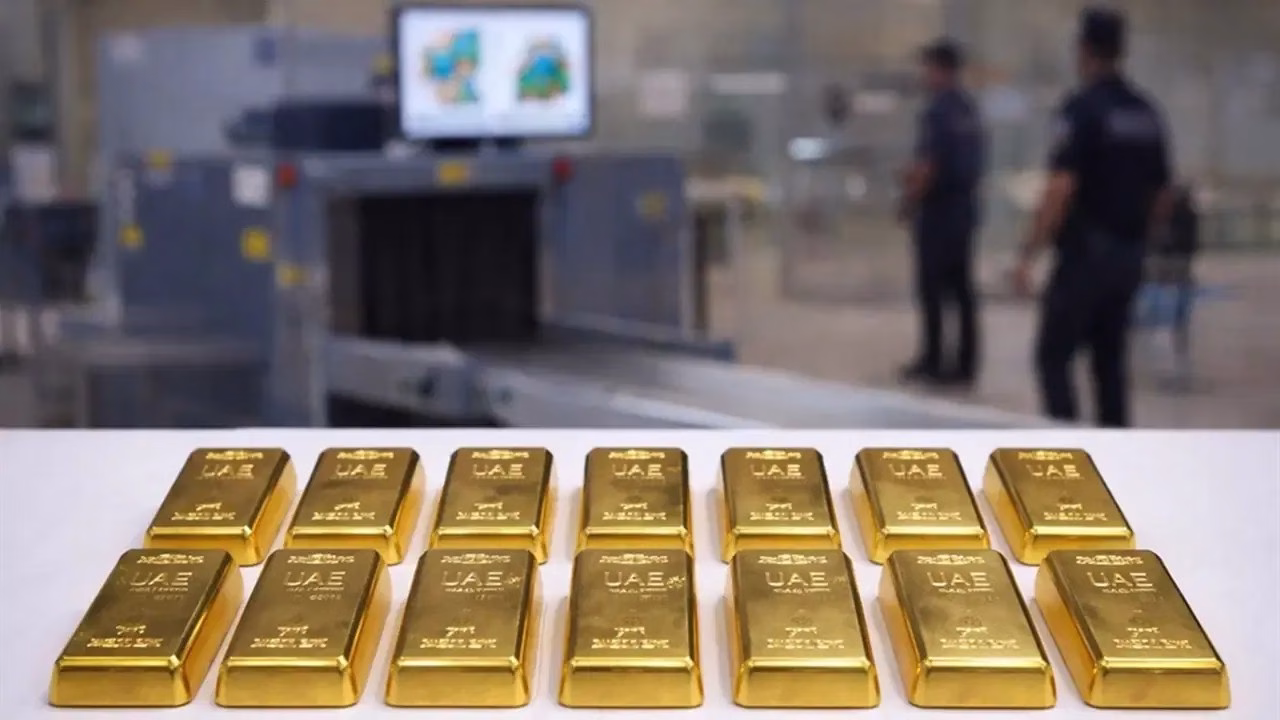 d3e8c063 512c 4992 a6f9 46e4cd9455d5