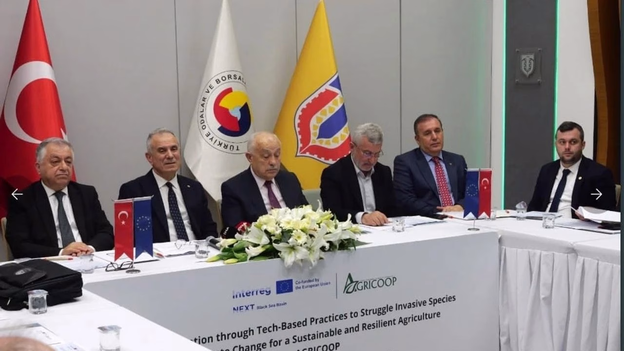 whatsapp image 2026 02 18 at 144005