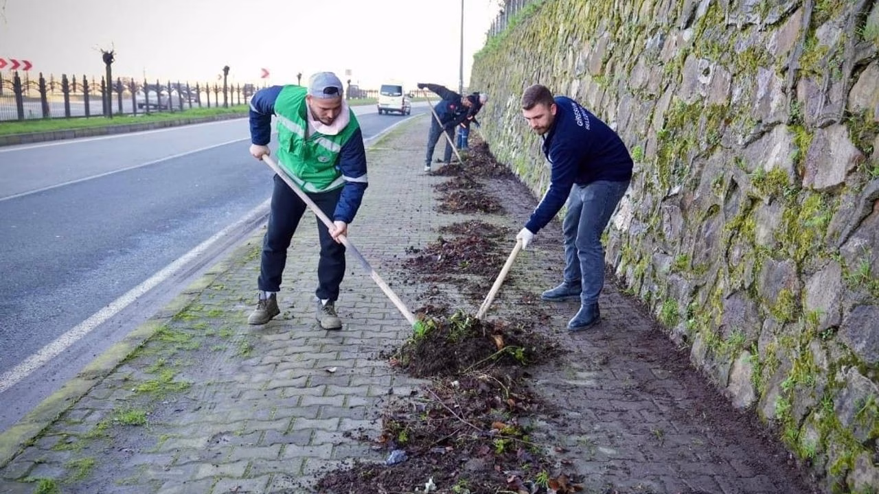 whatsapp image 2026 02 20 at 155333