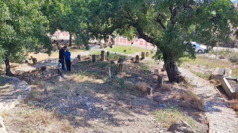 Adana’da Tarihi Skandal: Üçok Mezar Taşı Çalındı Adana'da Tarihi Skandal: Üçok Mezar Taşı Çalındı