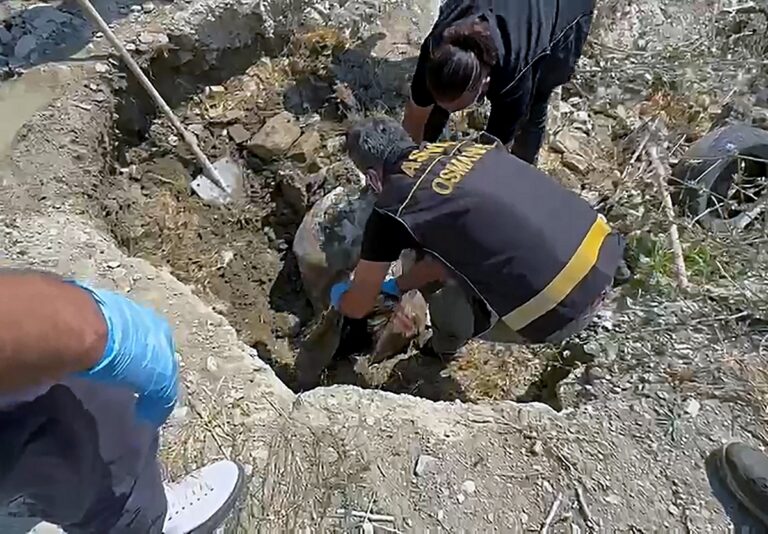 Ayşegül Yaşar Cinayetinde Kan Donduran İtiraf Ayşegül Yaşar Cinayetinde Kan Donduran İtiraf