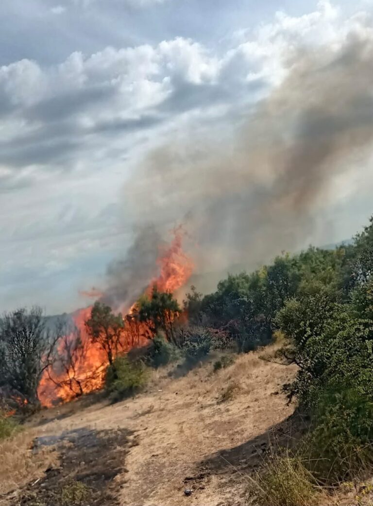 Çanakkale'de Alevlere Köylü Ve Ekiplerden Set