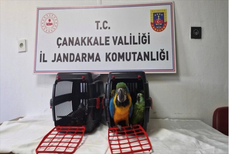 Çanakkale'de Kaçakçılık Operasyonu: Egzotik Kuşlar Ve Kazı Malzemeleri Ele Geçirildi