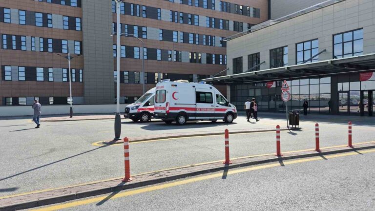 Eskişehir’de Feci Olay: Küçük Arda Yaşam Savaşı Veriyor Eskişehir'de Feci Olay: Küçük Arda Yaşam Savaşı Veriyor