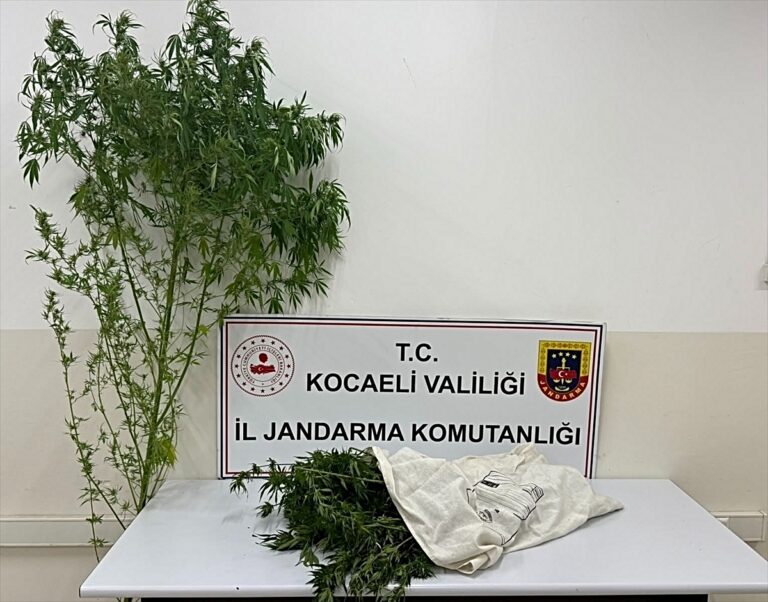 Kartepe'de Zehir Operasyonu: Kilo Kilo Esrar Yakalandı