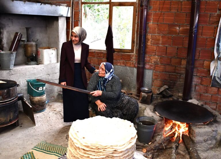 Kaymakam Güneş Beden Köyünde Talepleri Dinledi