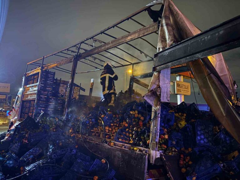 Kayseri'de Kamyon Alevlere Teslim Oldu: Kasa Kül Oldu