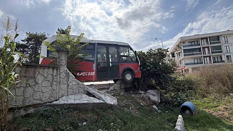 Köpeklere Çarpmamak İçin Bahçe Duvarına Daldı