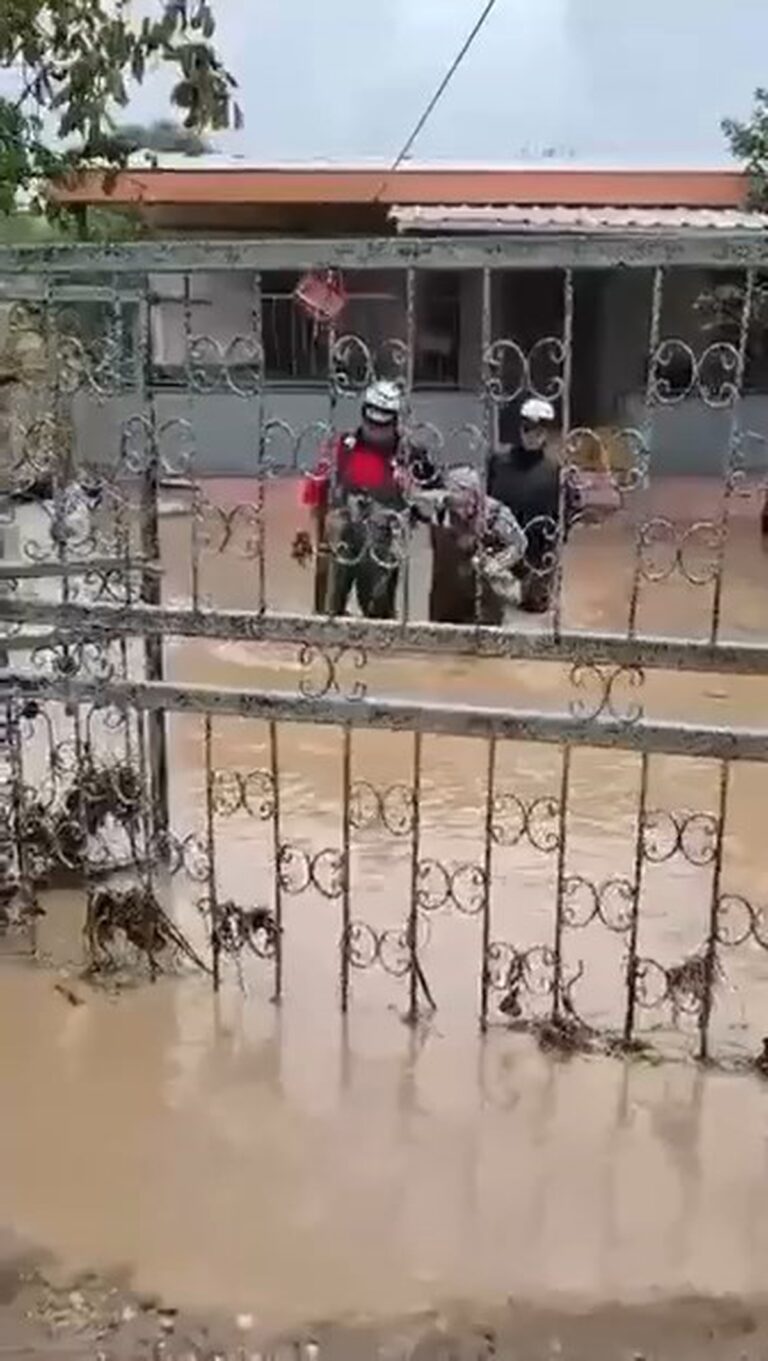 Mudanya'da Dehşet Anları: Sular Altında Can Pazarı