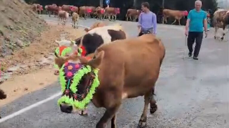 Şalpazarı'nda Büyük Dönüş: Yayla Göçü Geleneği Yaşıyor
