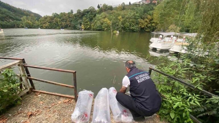 Sera Gölü’nde Büyük Canlanma: 40 Bin Balık Bırakıldı Sera Gölü'nde Büyük Canlanma: 40 Bin Balık Bırakıldı