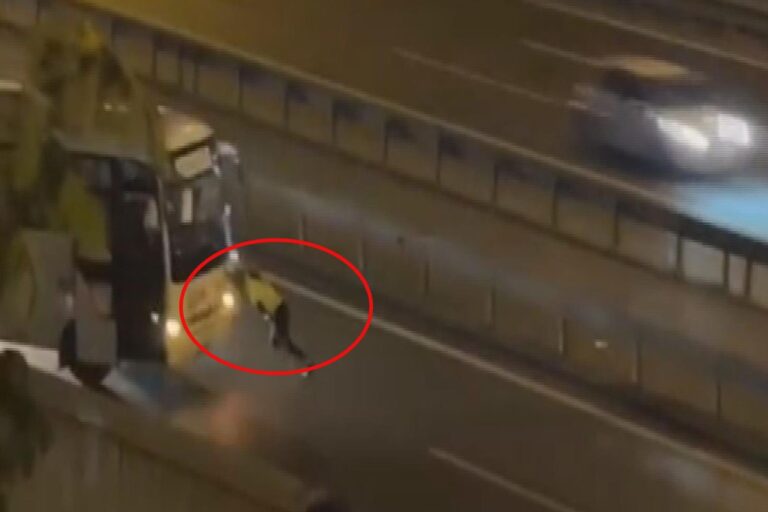 Tem Otoyolu’nda Alkışlanan Hareket: Kadın Polisin Azmi Tem Otoyolu'nda Alkışlanan Hareket: Kadın Polisin Azmi