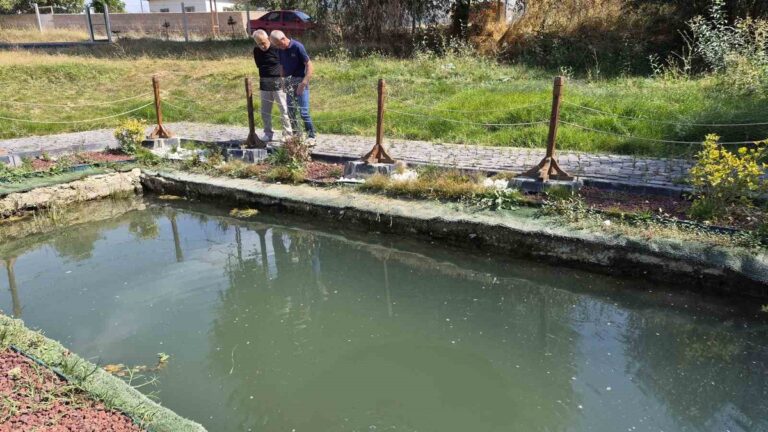 Yozgat'ta Roma Mirası Uyandı: 20 Yıl Sonra Gelen Mucize