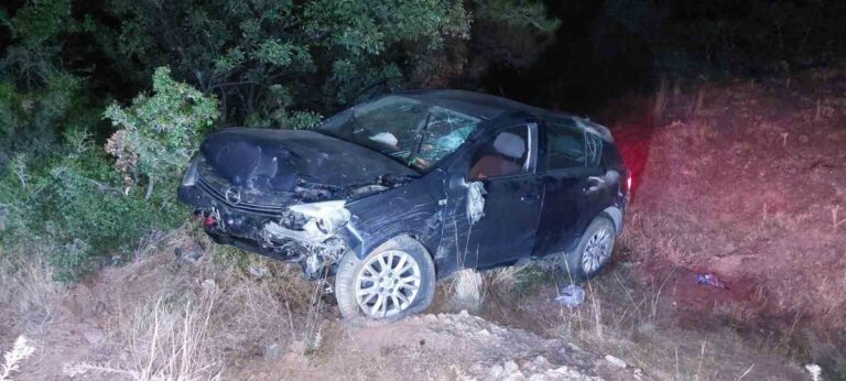 Aydın'da Otomobil Tarlaya Uçtu: Sürücü Yaralandı